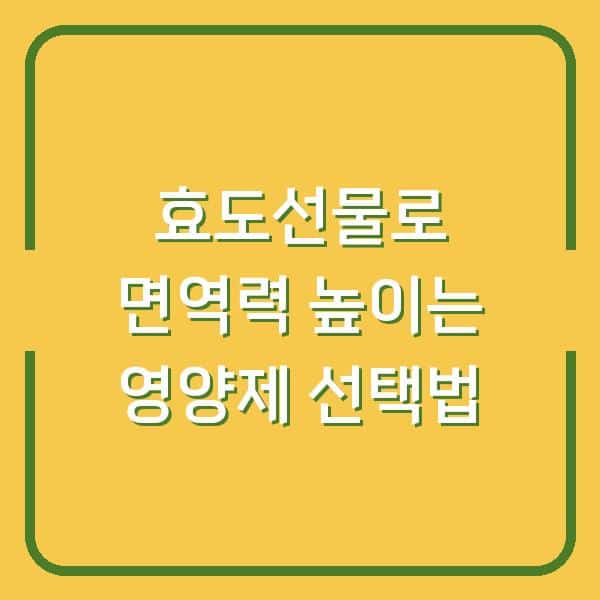 효도선물로 면역력 높이는 영양제 선택법