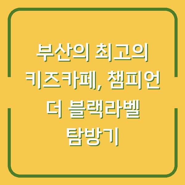 부산의 최고의 키즈카페, 챔피언 더 블랙라벨 탐방기