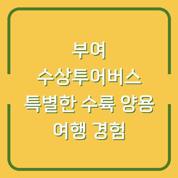 부여 수상투어버스 특별한 수륙 양용 여행 경험