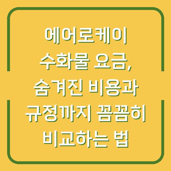 에어로케이 수화물 요금, 숨겨진 비용과 규정까지 꼼꼼히 비교하는 법