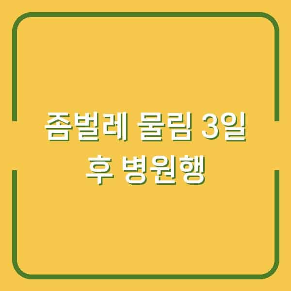좀벌레 물린 후 3일 만에 병원 간 이유 (사진 비교/치료제 추천)