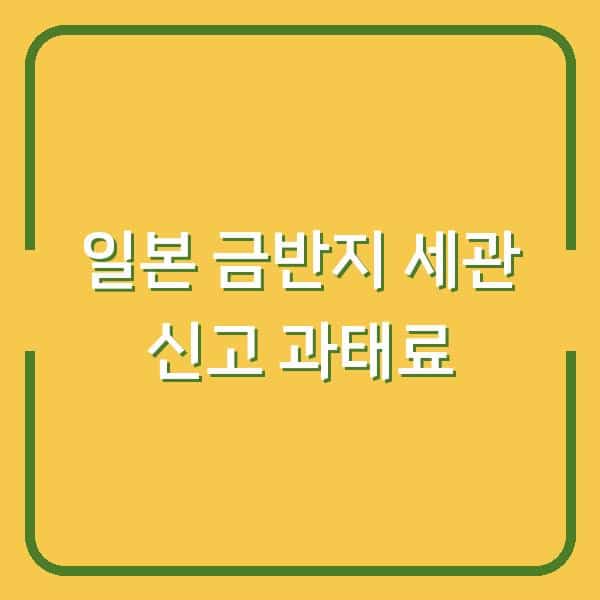 일본 여행, 금반지·금목걸이 세관 신고해야 할까? 몰랐던 과태료 위험