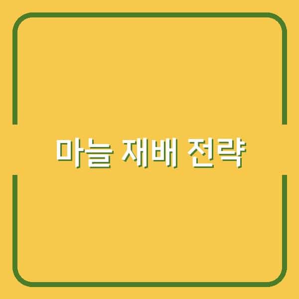 한지형·난지형 마늘 심는 시기와 재배법, 수확량을 높이는 핵심 전략
