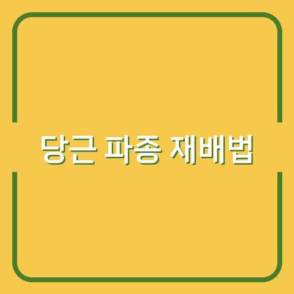 봄·가을 당근 파종 시기와 핵심 재배법으로 수확량 높이는 비결