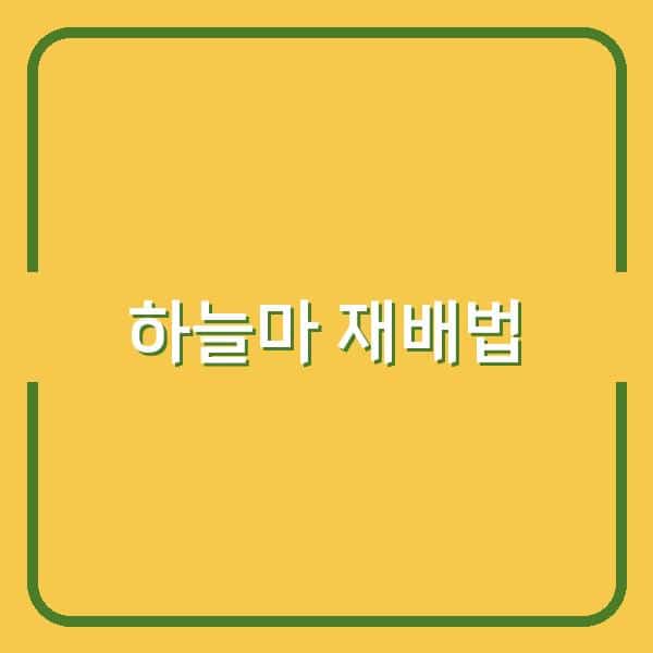 하늘마 재배, 언제 심고 어떻게 키워야 수확까지 성공할까?