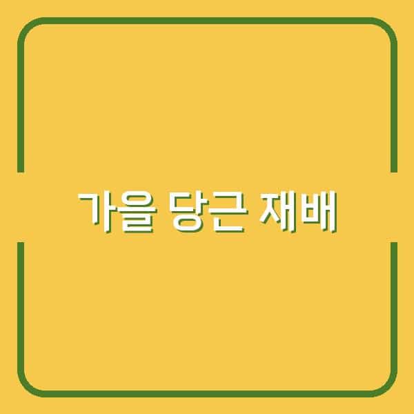 가을 당근 재배 심는 시기와 수확 방법으로 최고의 수익 올리기