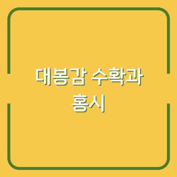 대봉감 수확시기와 홍시 만들기 최고의 맛을 위한 완벽한 타이밍과 비법