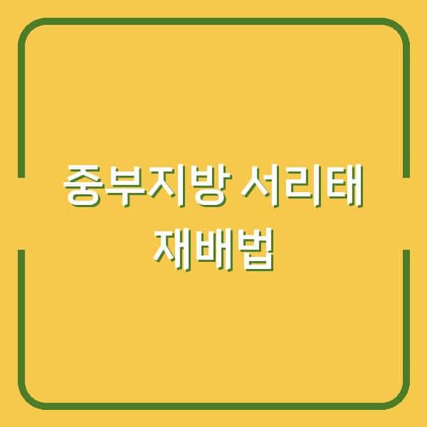 중부지방 서리태 심는 시기와 재배법, 그리고 효능까지 – 농사 초보도 실패 없는 노하우