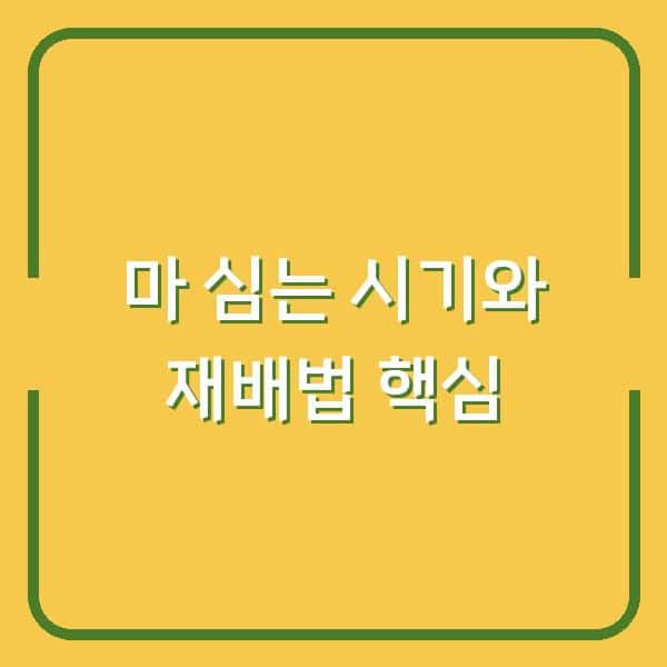 마 심는 시기 놓치면 수확량 반토막? 하늘마·산마 재배법 3가지 핵심 차이