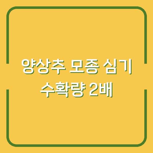 양상추 모종 심기 vs 파종 시기 수확량 2배 차이 나는 재배 방법