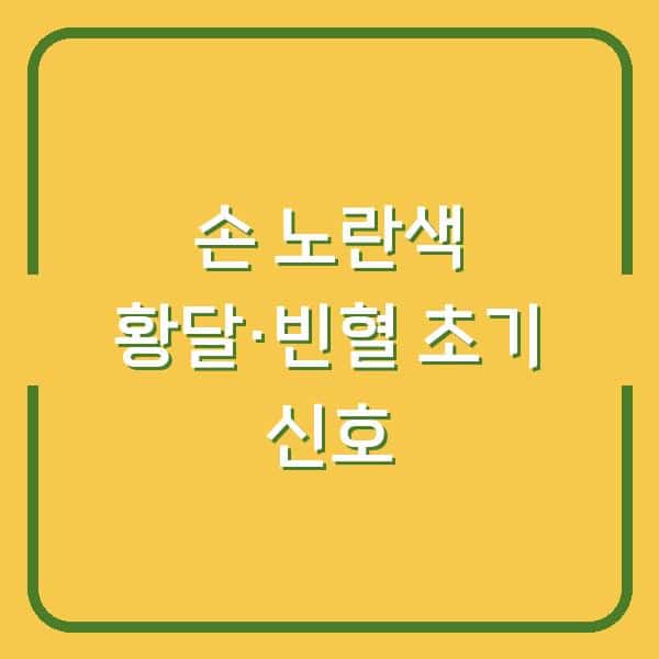 손이 노랗다면? 황달·빈혈 초기 신호와 놓치면 안 될 건강 변화