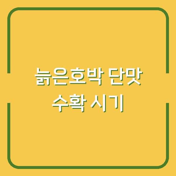 늙은호박, 지금 수확해야 단맛이 2배 보관법과 보관 장소까지
