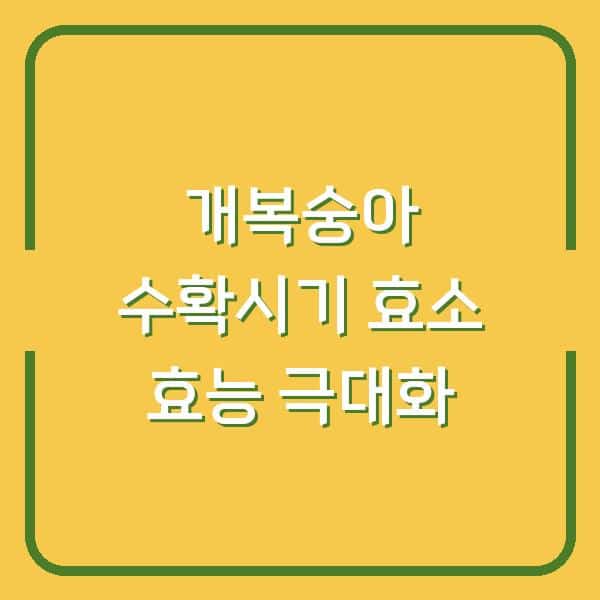 개복숭아 수확시기 놓치면 후회하는 이유, 효소 효능 극대화하는 법