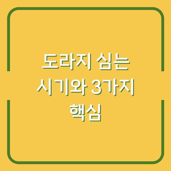 도라지 심는 시기 놓치면 수확량 반토막… 씨앗 파종 전 꼭 확인할 3가지