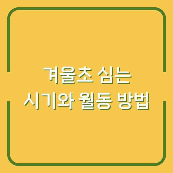 겨울초 심는 시기와 월동 방법, 수확까지 한 번에 성공하는 춘채 재배법