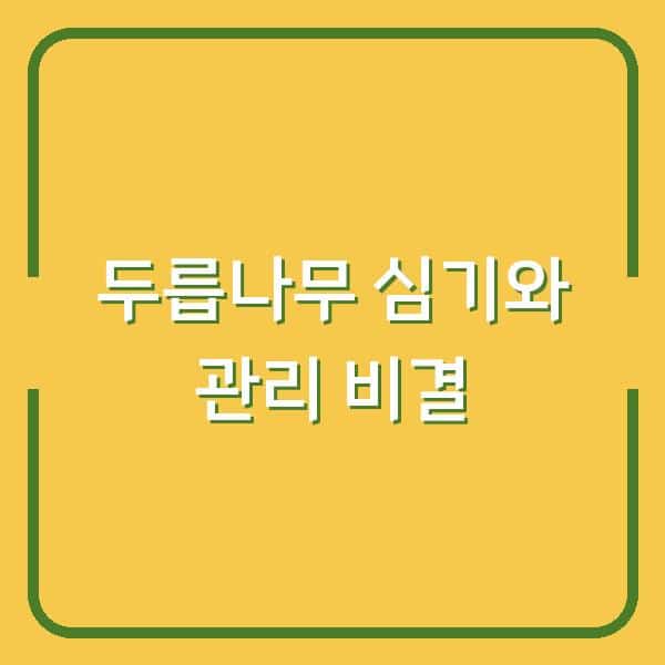 두릅 나무 심는 시기와 재배 방법, 3년 차 농부가 알려주는 관리 비결