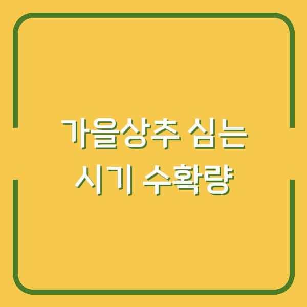 가을상추, 심는 시기만 지켜도 수확량 2배 차이 납니다