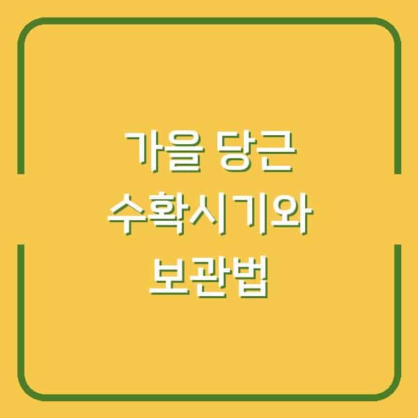 가을 당근, 이때 캐야 가장 맛있습니다 – 수확시기부터 오래 보관하는 방법까지