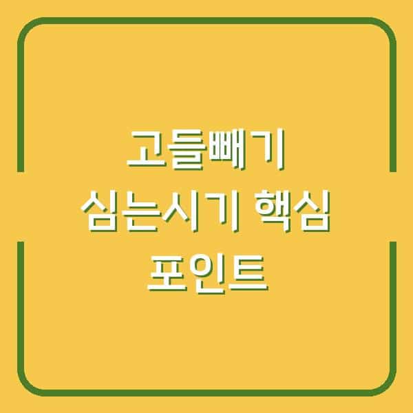 고들빼기 심는시기 놓치면 수확량 반토막… 파종부터 관리까지 3가지 핵심 포인트