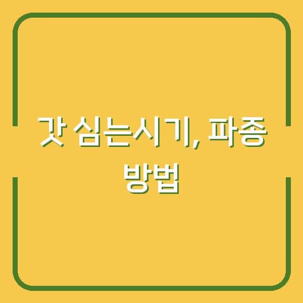 갓 심는시기 놓치면 수확량 반토막…파종 방법부터 재배 기간까지 3분 만에 체크