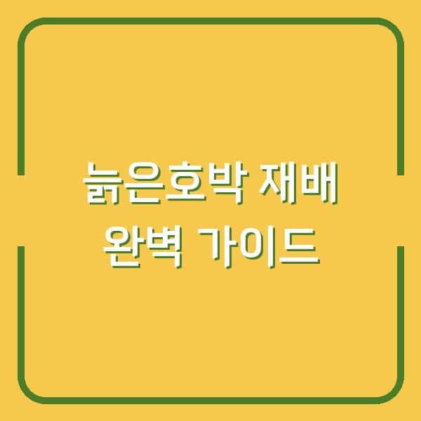 늙은호박 심는 시기부터 수확·보관까지, 농사 초보도 실패 없는 재배 방법