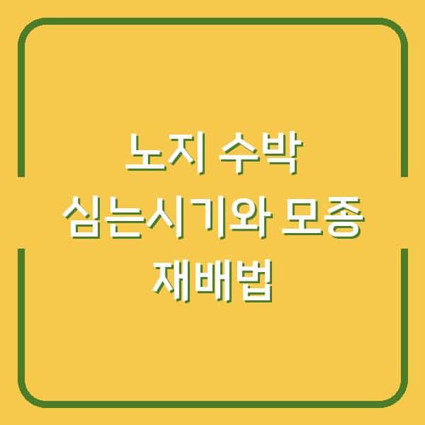 노지 수박 심는시기, 모종 심는 방법과 재배 중 실수 줄이는 법