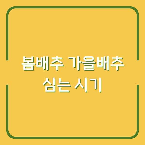 봄배추 vs 가을배추, 심는 시기 달리하면 수확량 2배? 물주기·거름주기 노하우