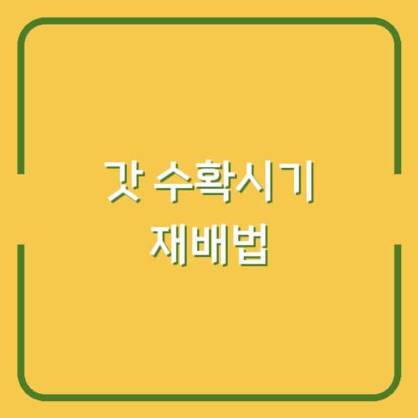 갓 수확시기 놓치면 질긴 맛? 파종시기별 재배 방법 차이