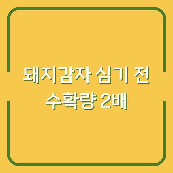 돼지감자 심기 3주 전에 이걸 알았다면 수확량이 2배로 늘었을 텐데