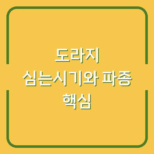 도라지 심는시기와 파종 방법, 수확량 2배 늘리는 핵심 포인트
