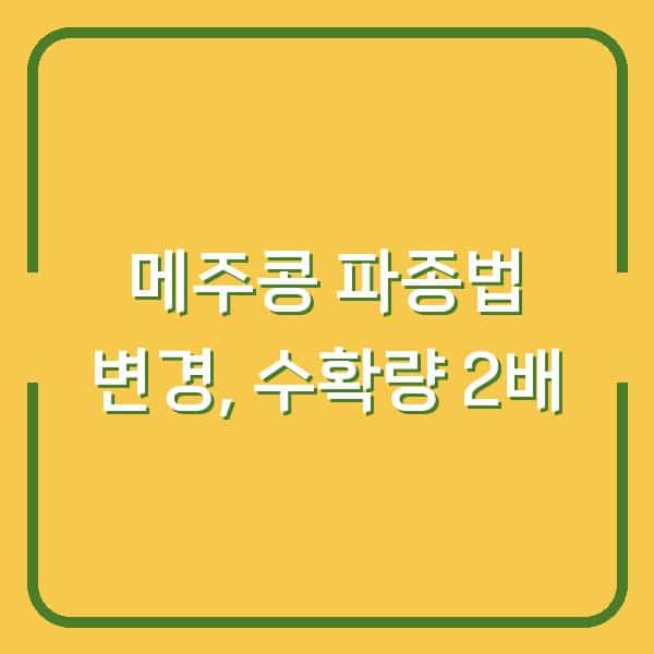 메주콩 심는시기와 수확시기, 파종 방법 바꾸니 수확량이 2배로 늘었습니다