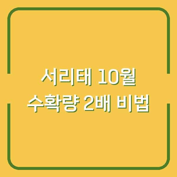 서리태 농사, 10월 수확량 2배로 늘리는 심는 시기와 재배 비법