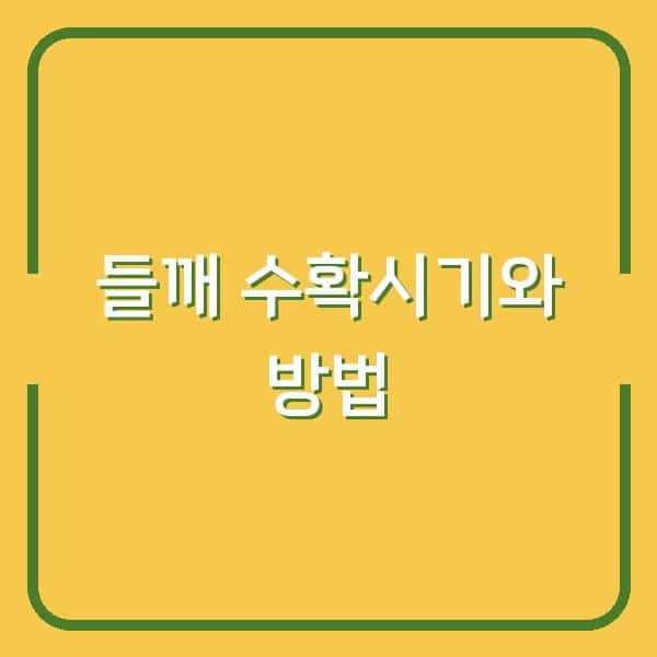 들깨 수확시기 놓치면 수확량 반토막… 베는 방법부터 말리기·터는 요령까지