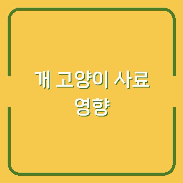개가 고양이 사료를 먹었을 때 생기는 영향과 안전한 대체 사료 선택법