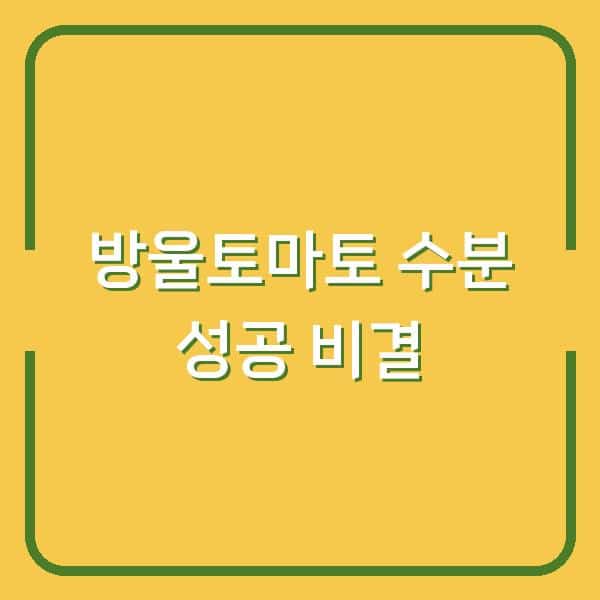 방울토마토 열매 안 맺히는 이유? 인공수정 vs 꽃가루 수분, 3일 만에 차이 났습니다