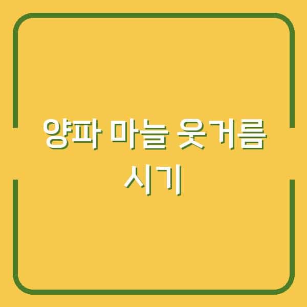 양파 마늘 웃거름 주기와 비닐 벗기기, 이때 놓치면 수확량 반토막