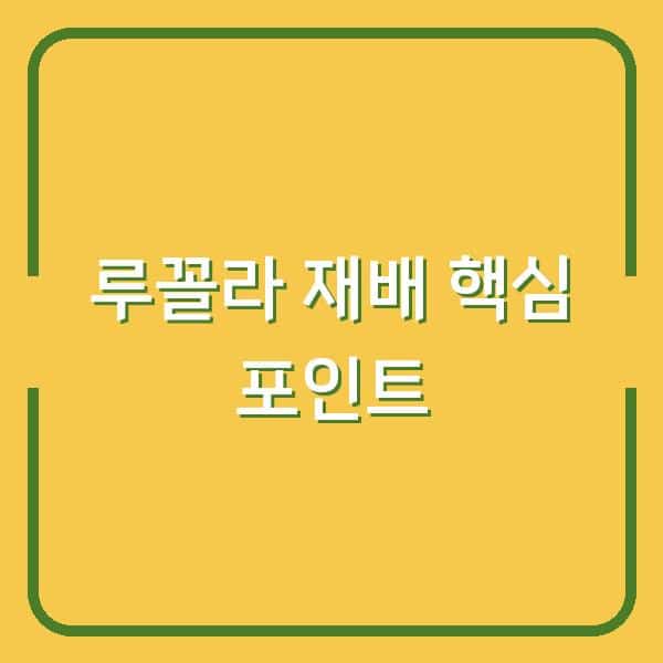 루꼴라 심는 시기와 재배 방법, 초보자가 놓치기 쉬운 3가지 포인트