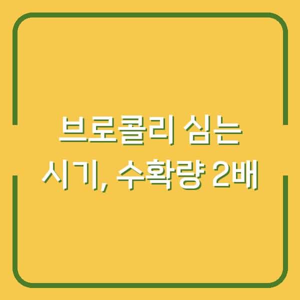 브로콜리 심는 시기, 봄과 가을 중 언제가 수확량 2배 더 많을까?