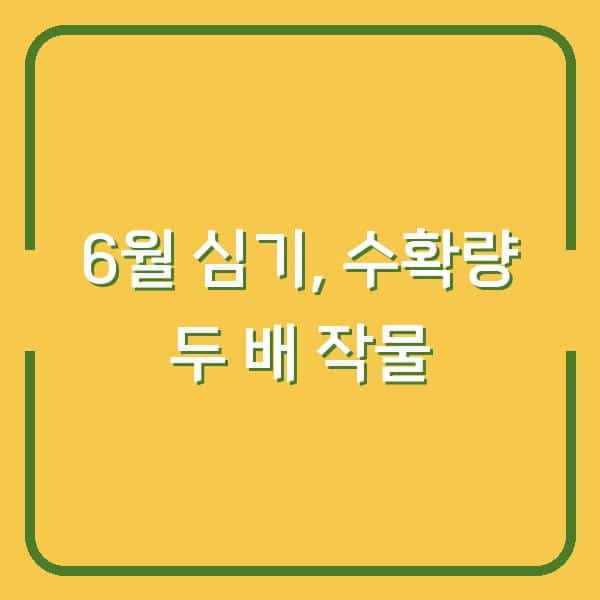2026년 6월 심기 좋은 작물 5가지, 지금 준비해야 수확량이 두 배