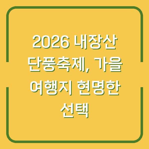2026 내장산 단풍축제, 가을 여행지 고민 끝내는 현명한 선택