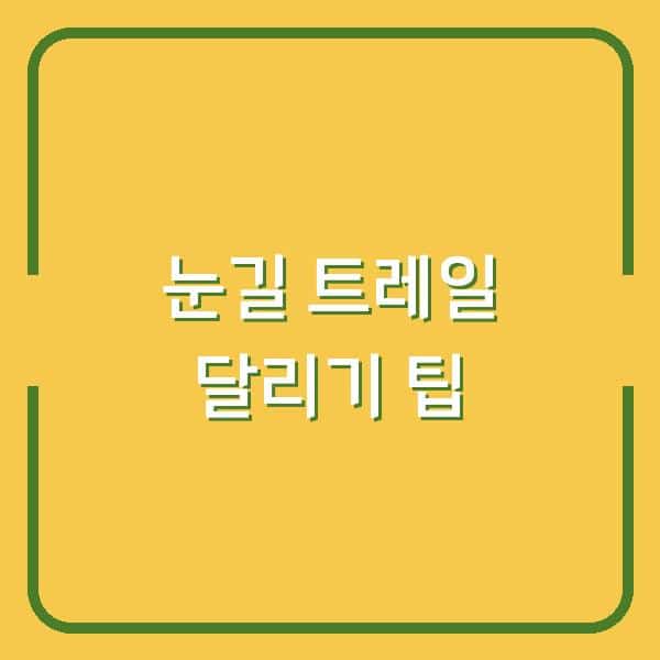 눈 오늘 트레일 써코니 페레그린으로 미끄러짐 없이 달리는 법