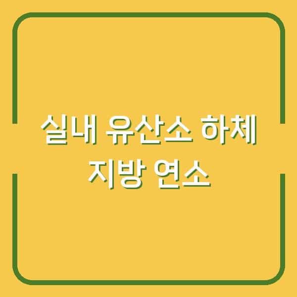 실내 유산소 운동 루틴 하체 지방을 태우는 20분 집콕 운동법