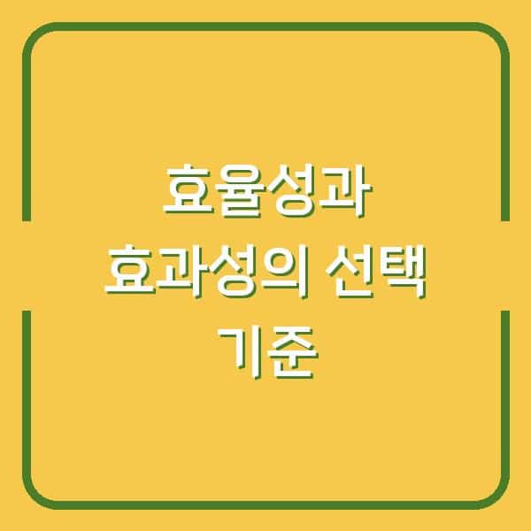 효율성 vs 효과성 4가지 사례에서 찾은 당신의 선택 기준