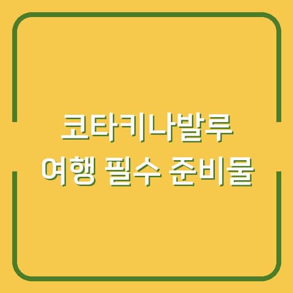 코타키나발루 여행 준비물 이것만 챙기면 현지에서 돈 낭비 없습니다