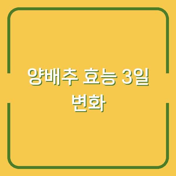 양배추 효능 3일 만에 몸이 달라진 이유