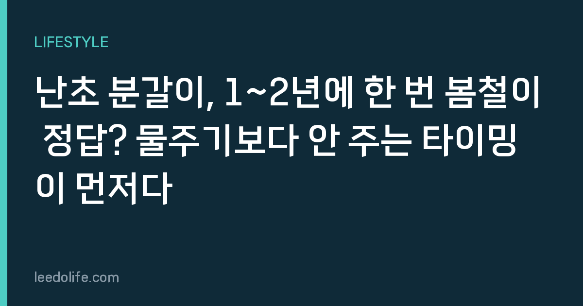 난초 분갈이, 1~2년에 한 번 봄철이 정답? 물주기보다 안 주는 타이밍이 먼저다