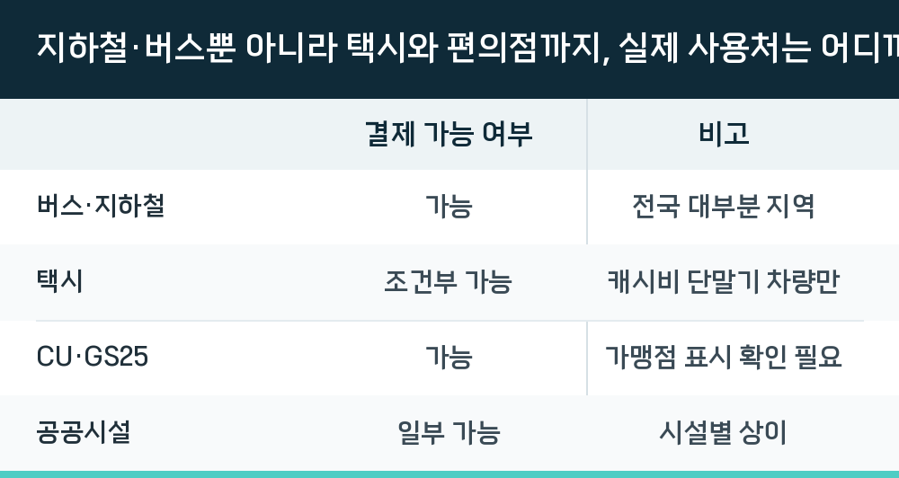 지하철·버스뿐 아니라 택시와 편의점까지, 실제 사용처는 어디까지일까